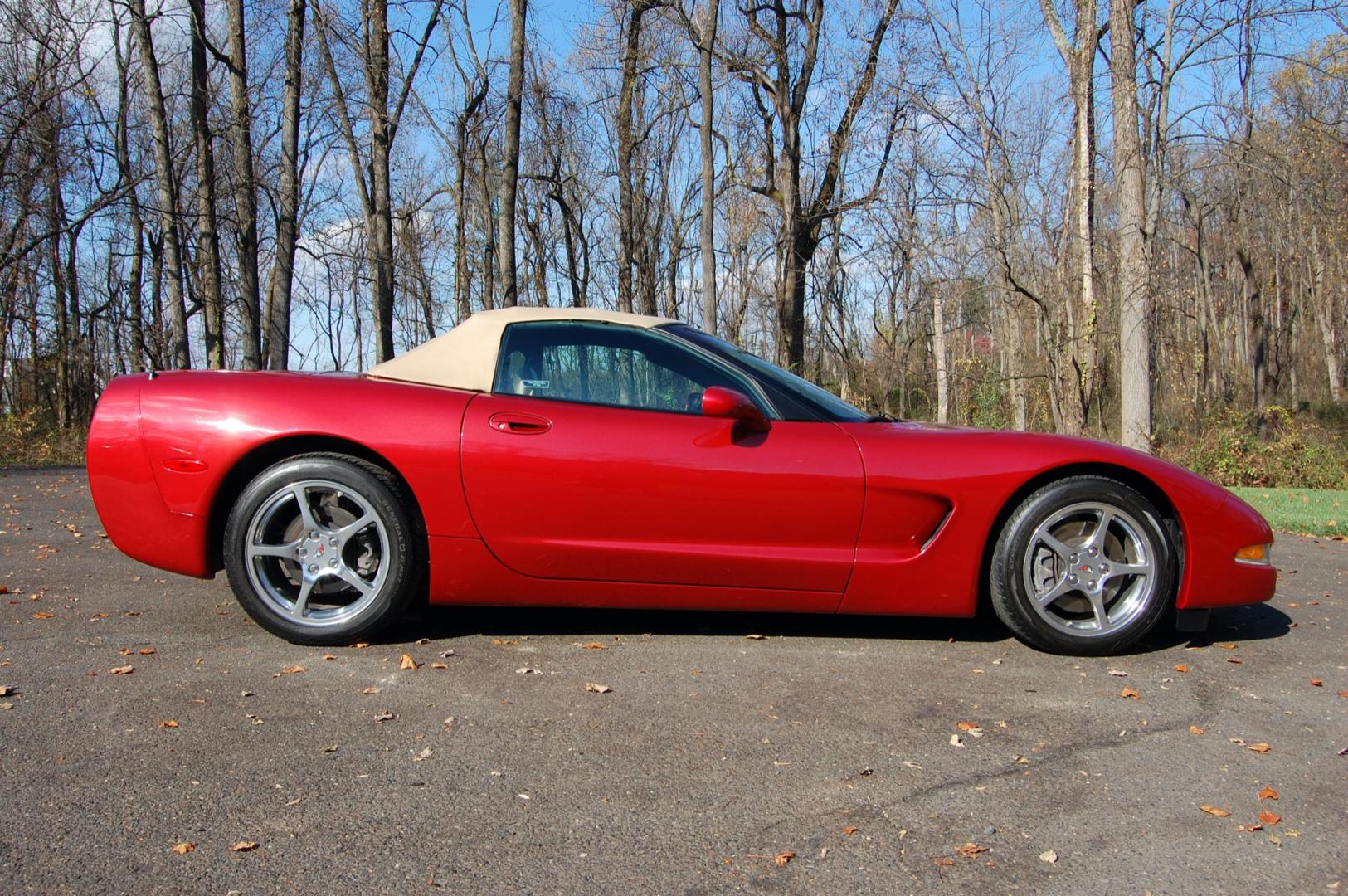 1998 Burgundy /Beige Leather Chevrolet Corvette (1G1YY32G9W5) with an 5.7 liter V8 engine, Automatic transmission, located at 6528 Lower York Road, New Hope, PA, 18938, (215) 862-9555, 40.358707, -74.977882 - Photo#3